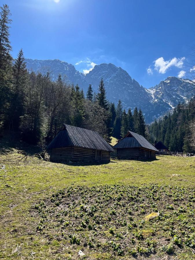 Kasprusie 10 By Homeprime Zakopane Dış mekan fotoğraf